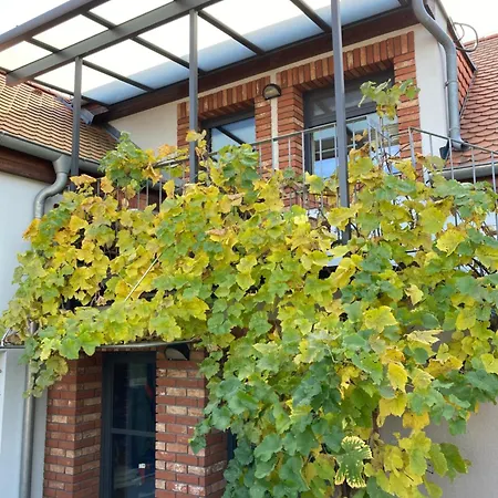 Vinarsky Dvur Turna Apartment *