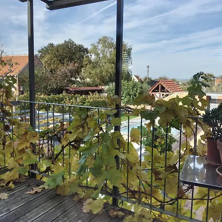 Διαμέρισμα Vinarsky Dvur Turna *
