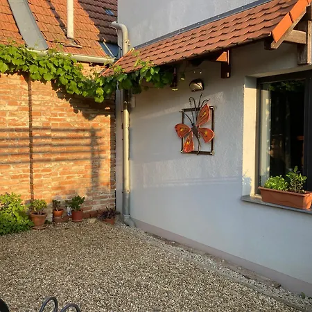 Vinarsky Dvur Turna Apartment *