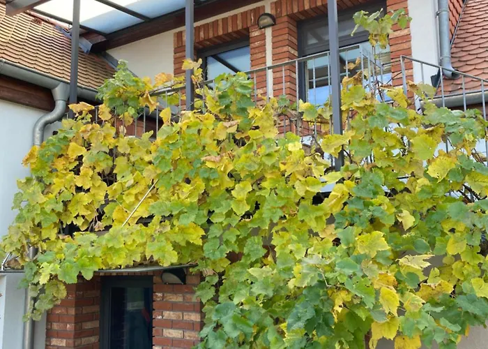 Vinarsky Dvur Turna Apartamento *